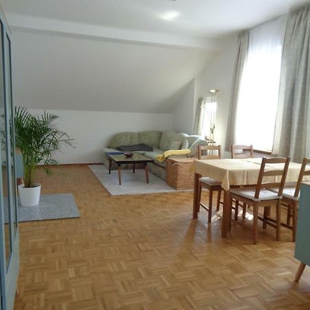Leipzig-Suedwest Appartement Buitenkant foto
